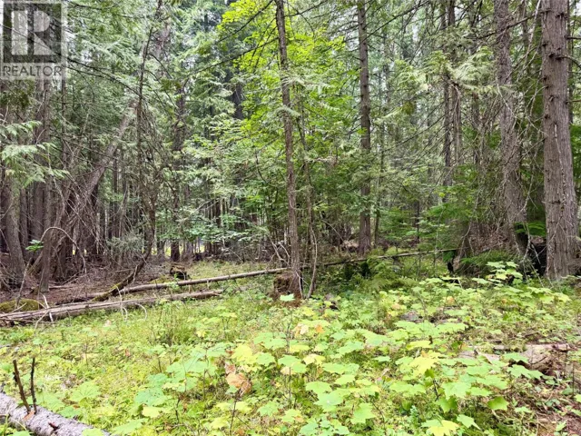 Harrop-Procter Road Lot# E, Procter, British Columbia V1L6R4