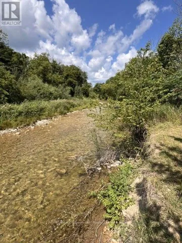 82 MARY STREET, Clearview (Creemore), Ontario L0M1G0