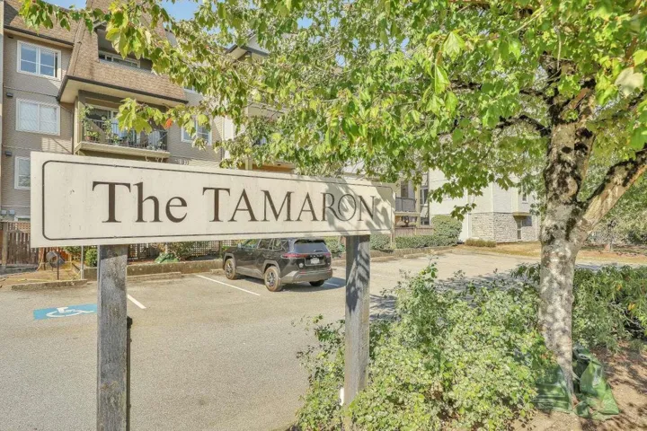 419 12083 92A AVENUE, Surrey, British Columbia V3V8C8