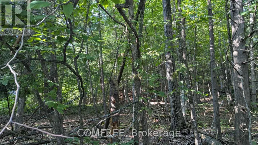 4853 OPEONGO ROAD, Ottawa, Ontario K0A3M0