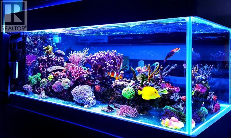 123 Fish Store Avenue NW, Calgary, Alberta T2M2W3