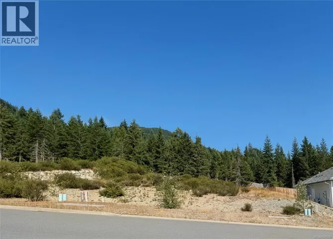 553 Mountain View Dr, Lake Cowichan, British Columbia V0R2G1