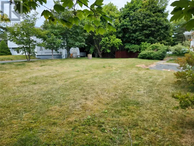 10 Hillview Avenue, Conception Bay South, Newfoundland & Labrador A1W4L3