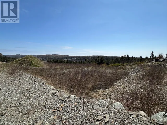 19 Simon Place, Spaniards Bay, Newfoundland & Labrador A0A3X0