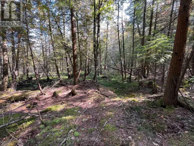 LOT 25 CHAMPLAIN ROAD, Tiny, Ontario L9M0C3