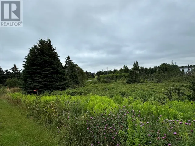 17A Crowes Lane, Torbay, Newfoundland & Labrador A1K1H5