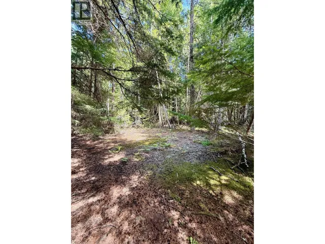 Claybrick Road Lot# 7, Winlaw, British Columbia V0G2J0