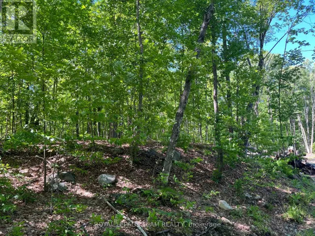 01 SIBERIA ROAD, Madawaska Valley, Ontario K0J1B0