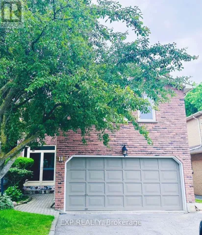 LOWER - 11 MARION CRESCENT, Markham (Raymerville), Ontario L3P6E8