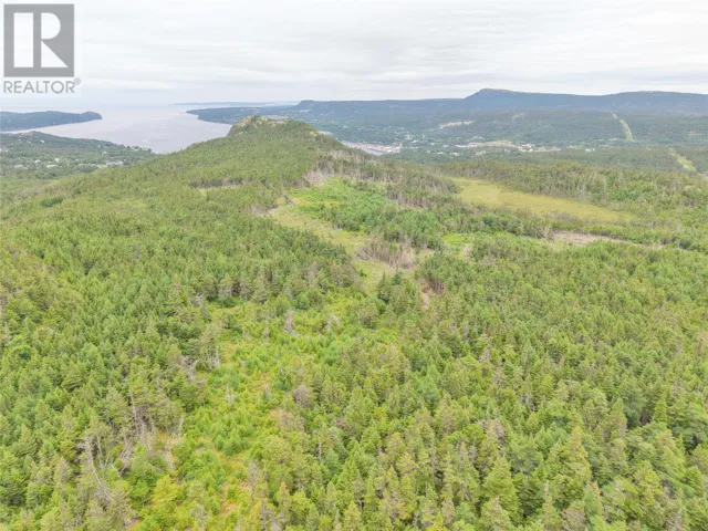 Lot A Butlers Road, Holyrood, Newfoundland & Labrador A0A2R0