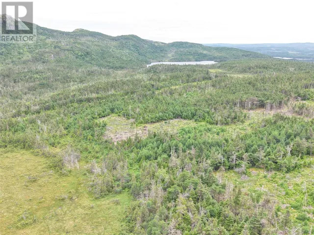 Lot B Butlers Road, Holyrood, Newfoundland & Labrador A0A2R0