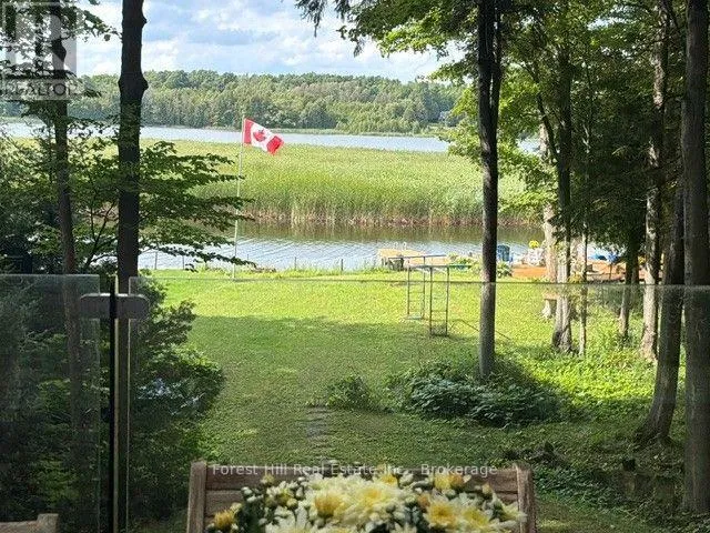 780