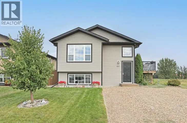 447 Emerson Avenue E, Duchess, Alberta T0J0Z0