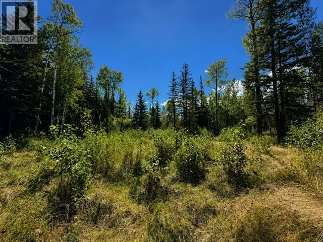 LOT 5 AIRPORT ROAD, McBride, British Columbia V0J2E0