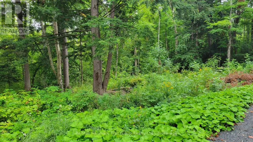 0 BLACK RIVER ROAD N, Tweed (Tweed (Village)), Ontario K0K3J0