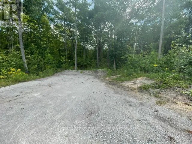 7859 PINERIDGE ROAD, Ramara, Ontario L0K2B0