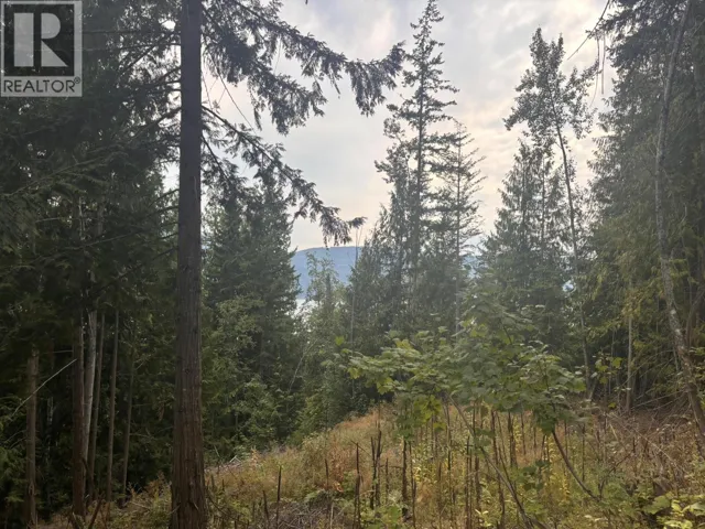 Lot 151 Columbia Drive, Anglemont, British Columbia V0E1M8