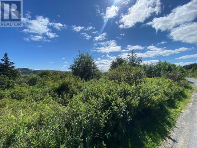 19-27 W Englishtown Road, Brigus, Newfoundland & Labrador A0A1K0
