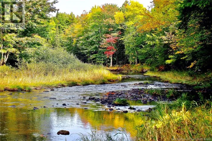 Lot RTE 520 COATES MILLS, Coates Mills, New Brunswick E4S1R7