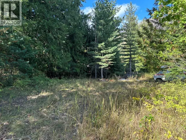 Arthur Street Lot# Lot C, Slocan, British Columbia V0G2C0
