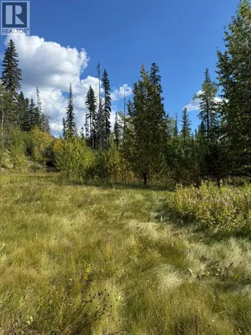 111 Kinuseo Avenue, Tumbler Ridge, British Columbia V0C2W0