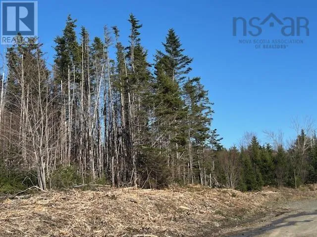 Salmon River Road, Salmon River, Nova Scotia B0E3B0