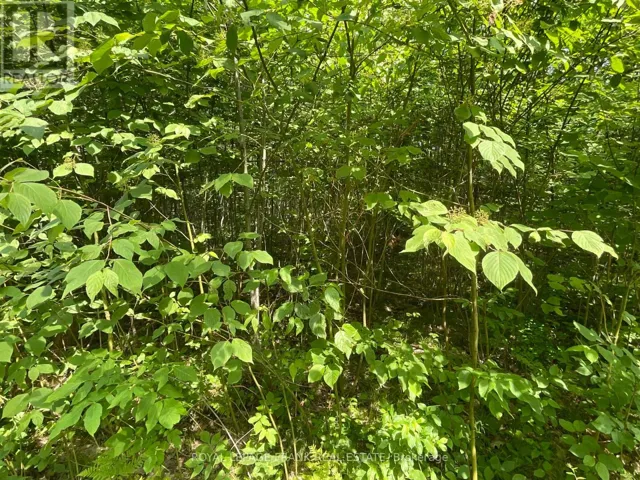 0 SUGARBUSH CRESCENT, Trent Lakes, Ontario K0L1J0