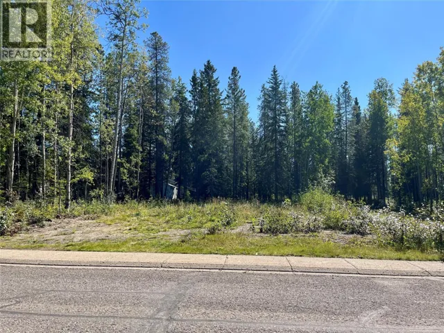 115 Red Willow Avenue, Tumbler Ridge, British Columbia V0C2W0