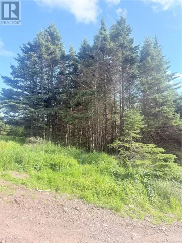 6A Big Pond Access Road, Burin, Newfoundland & Labrador A0E1E0