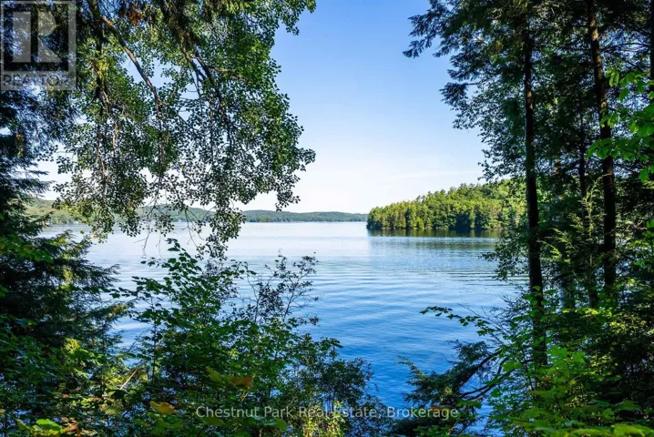 4339 MUSKOKA ROAD 117 ROAD, Lake of Bays (Franklin), Ontario P0B1A0