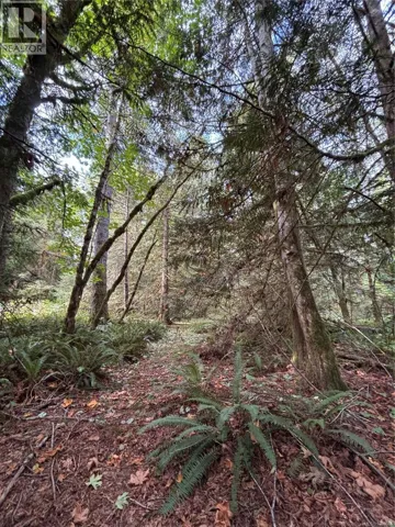lot 23 Pratt Rd, Errington, British Columbia V9K1W7