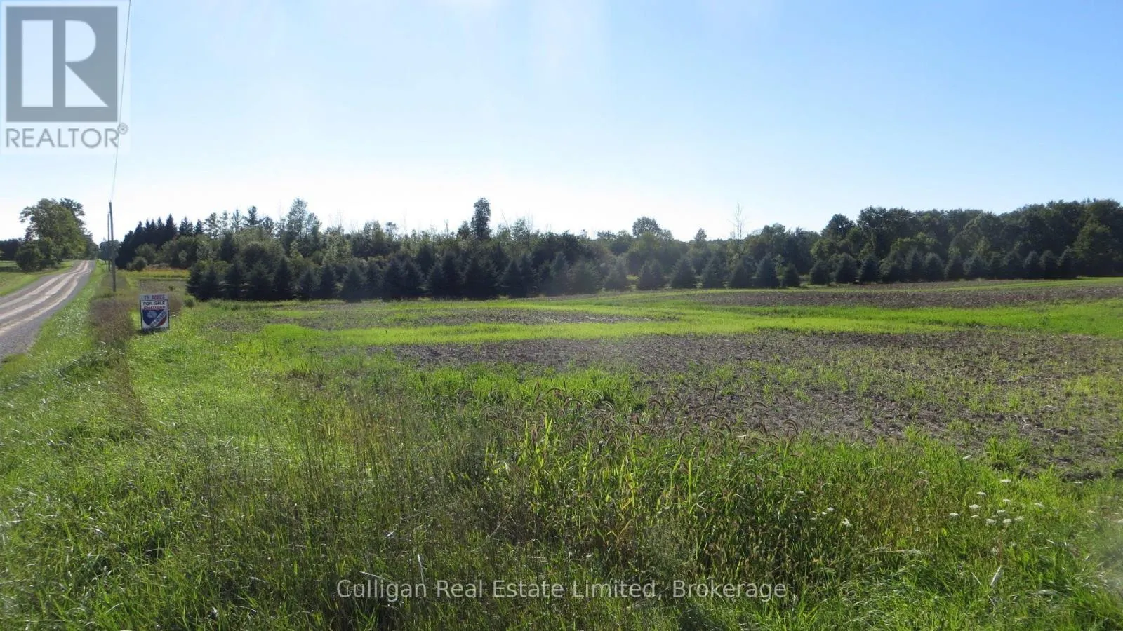 Your potential estate lot awaits. Your potential estate lot awaits.
