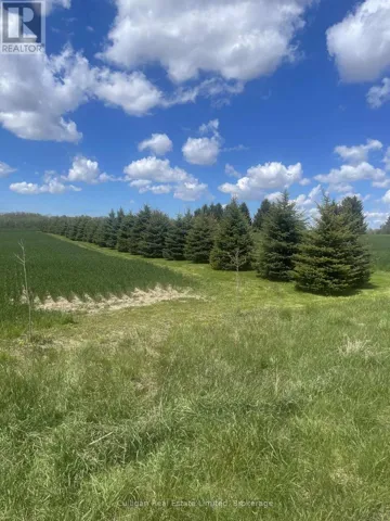 Mature trees to line your potential driveway