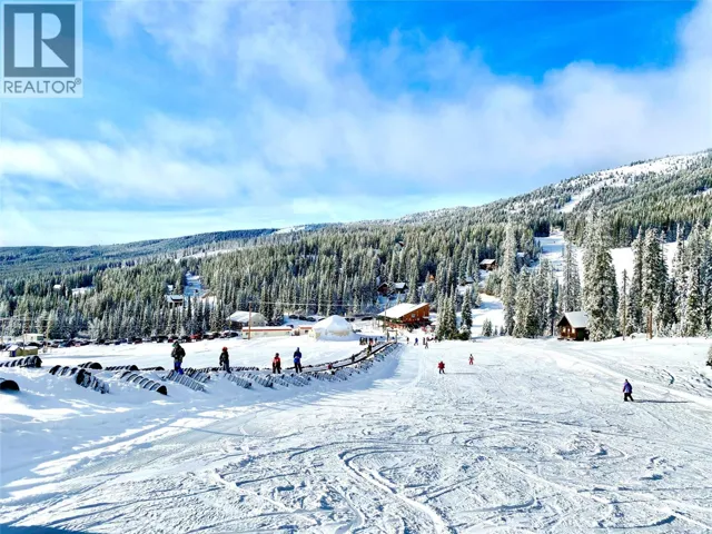 300 COUGAR Road, Oliver, British Columbia V0H1T8