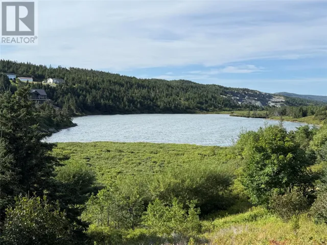 0 Bareneed Road, Bareneed, Newfoundland & Labrador A0A1W0