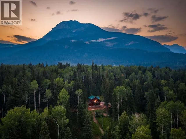 1629 ADOLPH JOHNSON Road, Golden, British Columbia V0A1H1