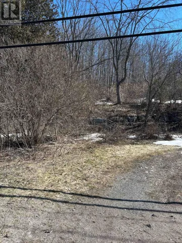 58 MAIN STREET, Marmora and Lake (Marmora Ward), Ontario K0K2M0