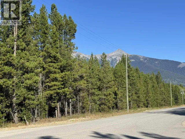 1250 17TH AVENUE, Valemount, British Columbia V0E2Z0
