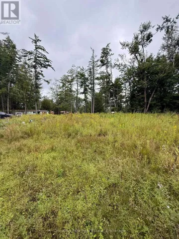 1004 CHIPPAWA AVENUE, Gravenhurst (Muskoka (S)), Ontario P1P1R1