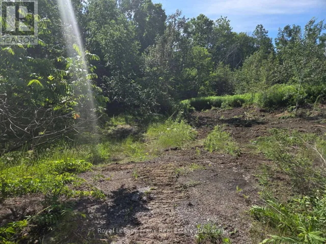 0 NORTHERN AVENUE, Trent Lakes, Ontario K0L1J0