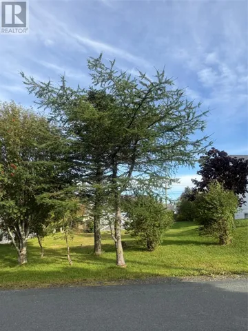 15 Cedar Drive, St. John's, Newfoundland & Labrador A1A4X4