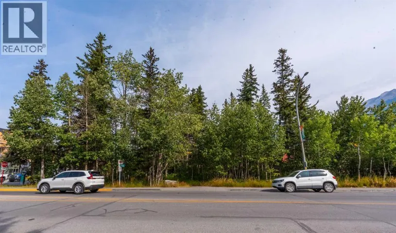726, 730, 734, 738 10th Street, Canmore, Alberta T1W2A6