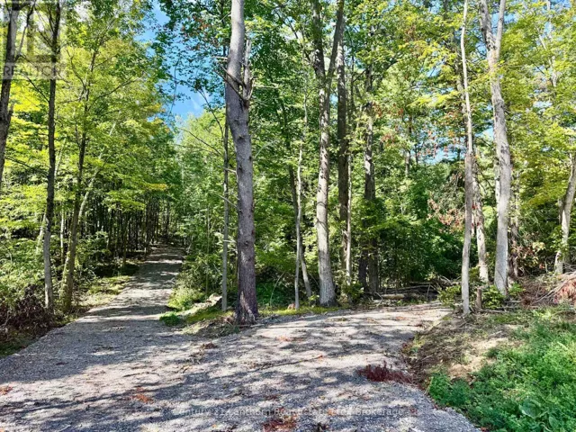 00 NORTH LOT HIGHWAY 62, Madoc, Ontario K0K2K0