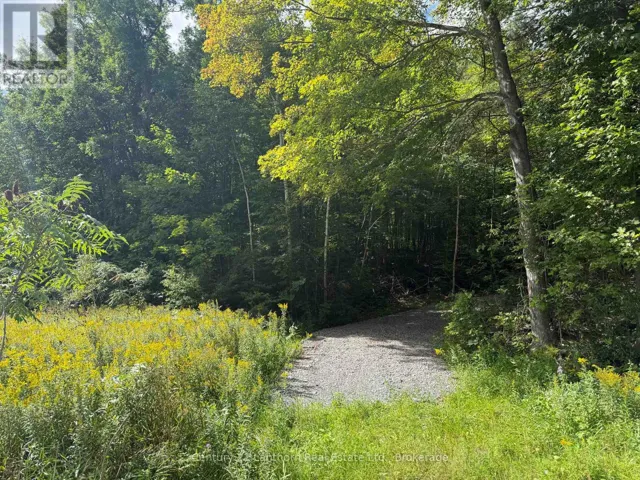 00 SOUTH LOT HIGHWAY 62, Madoc, Ontario K0K2K0