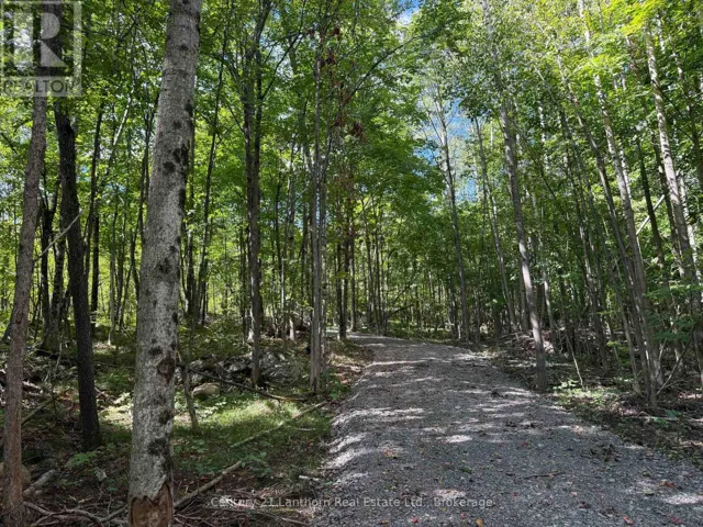 00 MIDDLE LOT HIGHWAY 62, Madoc, Ontario K0K2K0