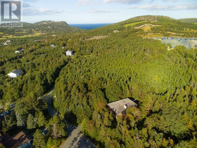 29 Walsh's Road, Logy Bay - Middle Cove - Outer Cove, Newfoundland & Labrador A1K3G8