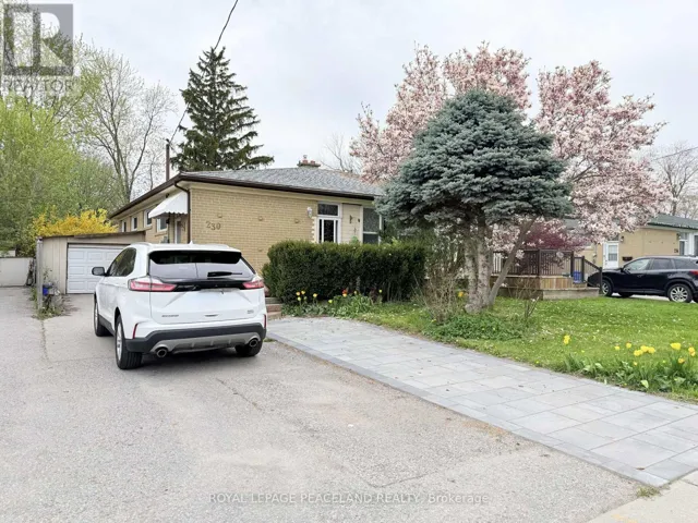 BASEMENT - 230 AXMINSTER DRIVE, Richmond Hill (Crosby), Ontario L4C2W1