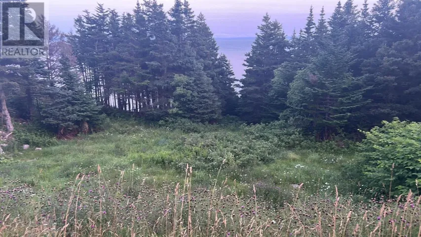 485 Oceanview Drive, Cape St. George, Newfoundland & Labrador A0N1T1
