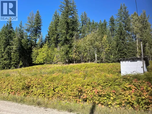 Bartley Road, Nakusp, British Columbia V0G1R0