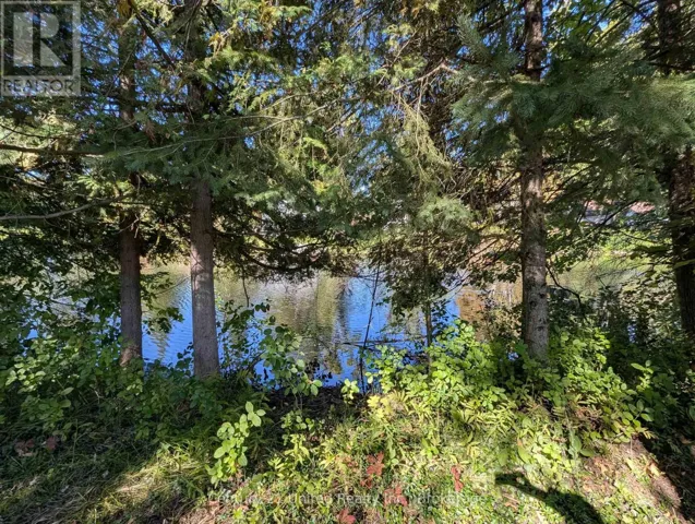63 FIRE ROUTE 104, Kawartha Lakes (Bobcaygeon), Ontario K0M1A0